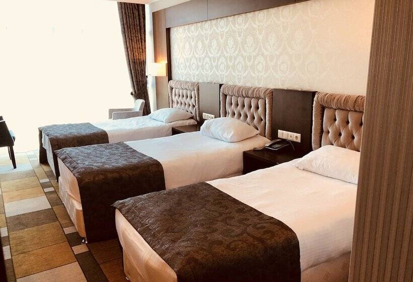 اتاق استاندارد سه نفره, Grand Amisos