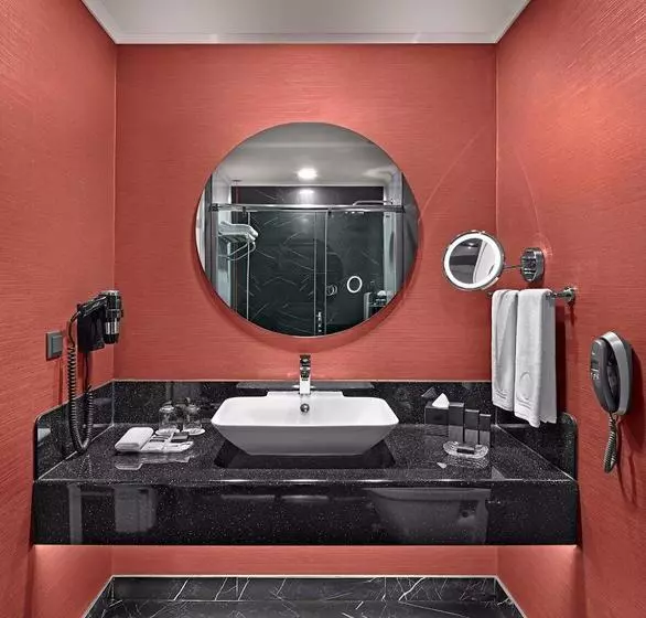 Standard-huone King-vuode, Ramada Plaza By Wyndham Eskisehir