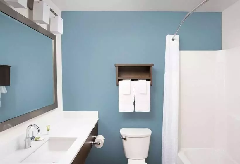 ２ダブルベッドのスタンダードルーム, Woodspring Suites Holland  Grand Rapids