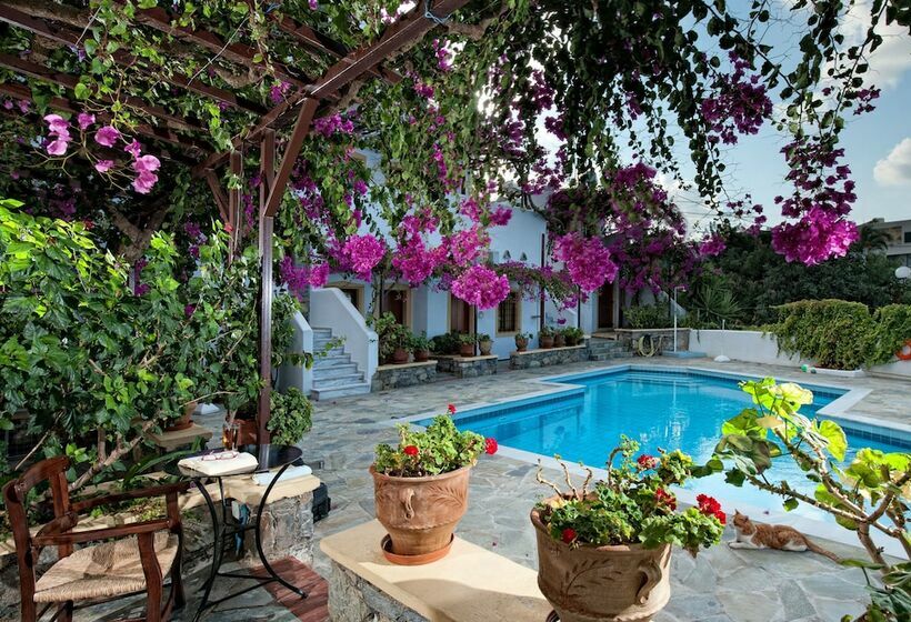 آپارتمان 1 خوابه با چشم‌انداز استخر, Villa Diktynna