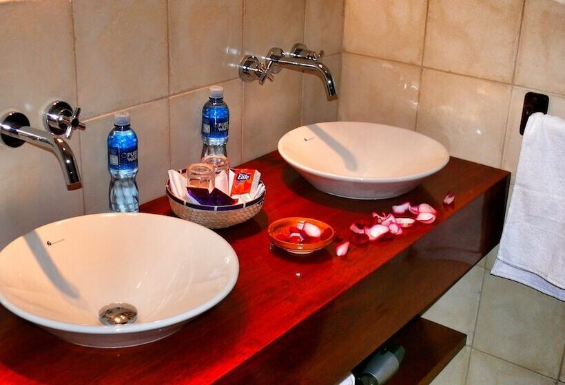 غرفة قياسية, Casa De Las Rosas