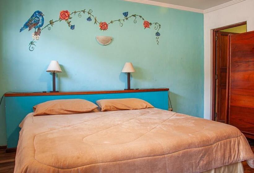 غرفة قياسية فردية, Casa De Las Rosas