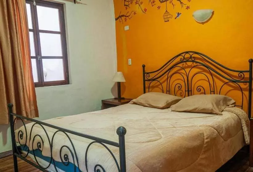 اتاق استاندارد چهار تخته, Casa De Las Rosas