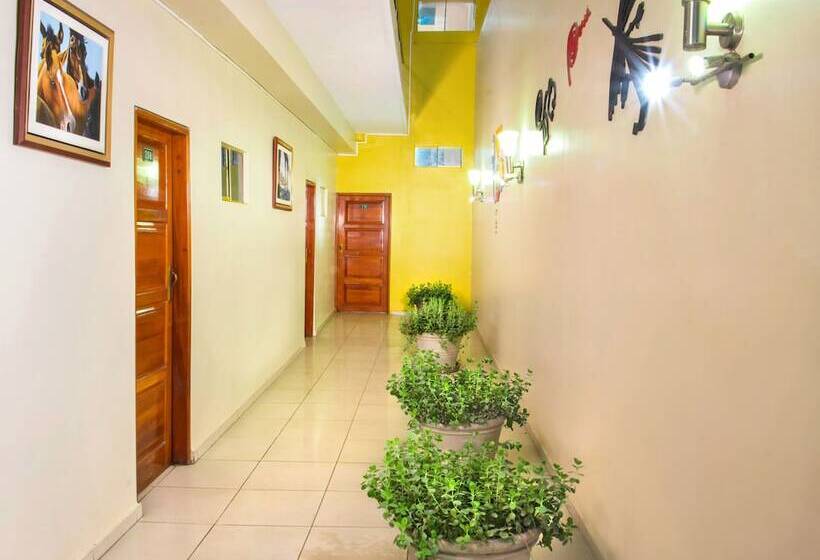 اتاق استاندارد یک نفره, Colon Plaza