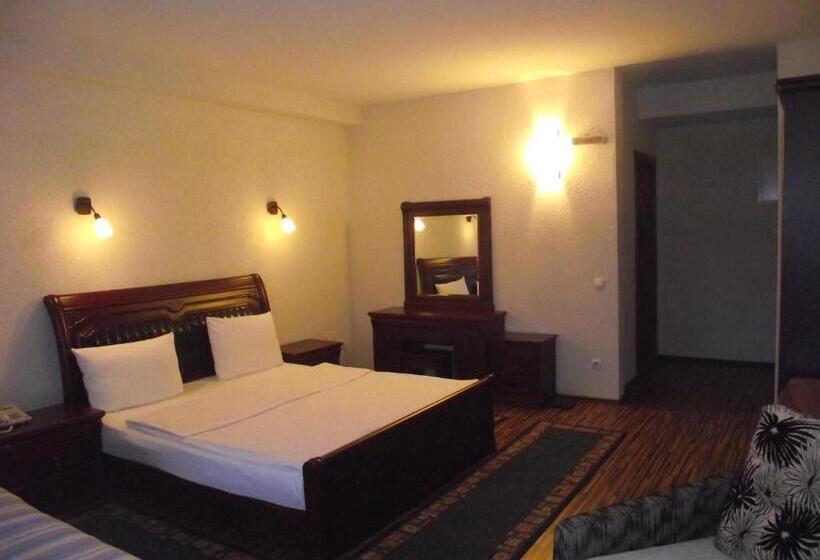 اتاق استاندارد, Denis