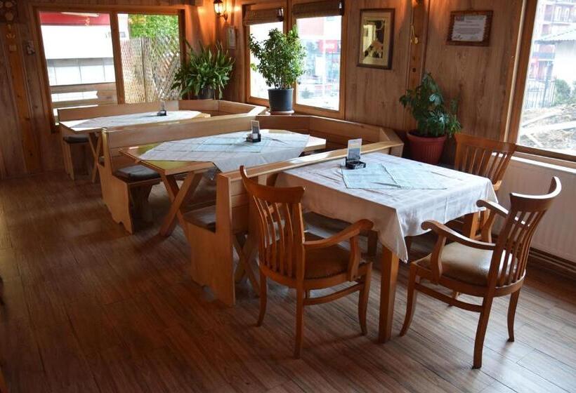 اتاق استاندارد یک نفره, Denis