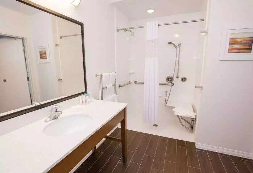 身障者適用スタンダードルーム, Hampton Inn & Suites Pittsburgh/harmarville