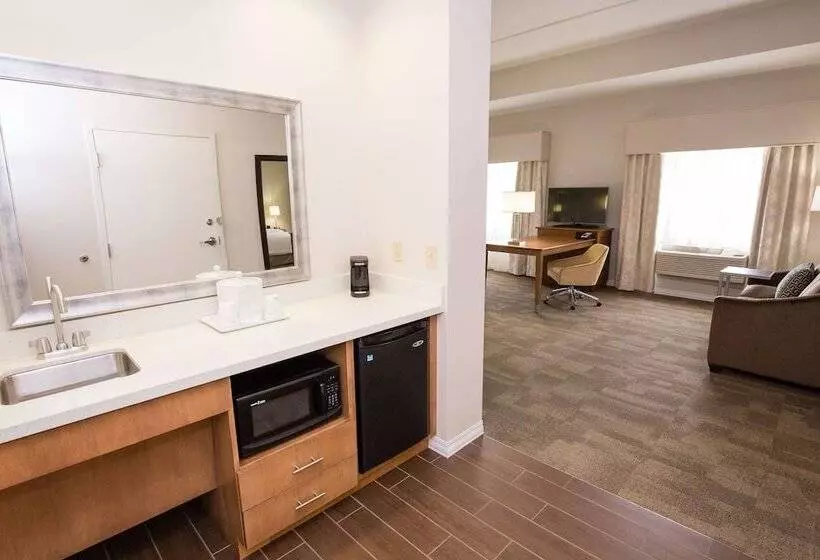 身障者適用スタンダードルーム, Hampton Inn & Suites Pittsburgh/harmarville