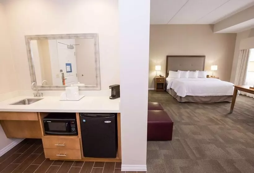 身障者適用スタンダードルーム, Hampton Inn & Suites Pittsburgh/harmarville