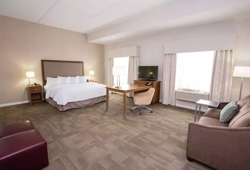 身障者適用スタンダードルーム, Hampton Inn & Suites Pittsburgh/harmarville