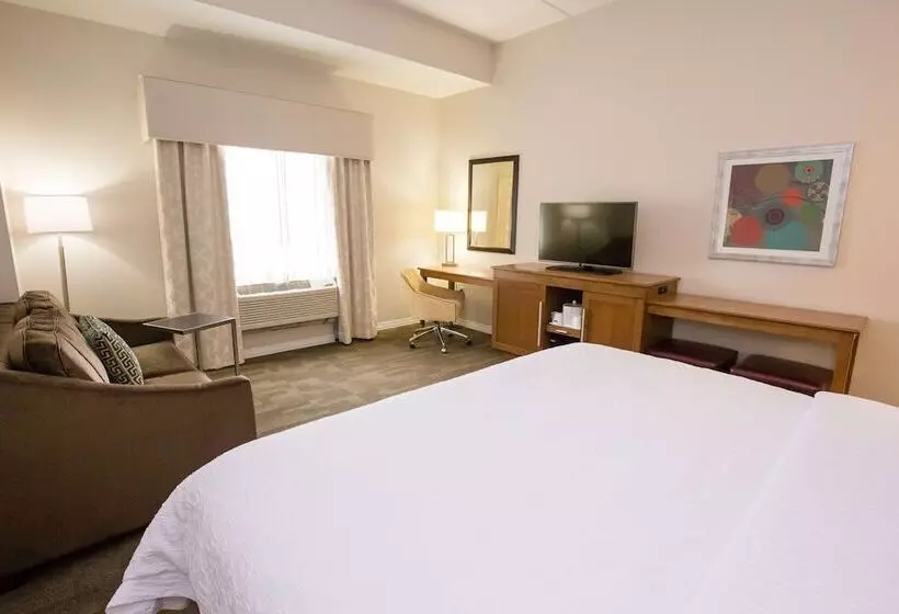 身障者適用スタンダードルーム, Hampton Inn & Suites Pittsburgh/harmarville