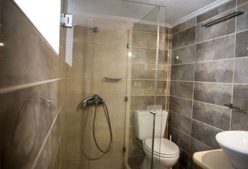 标准工作室, Lida Mary