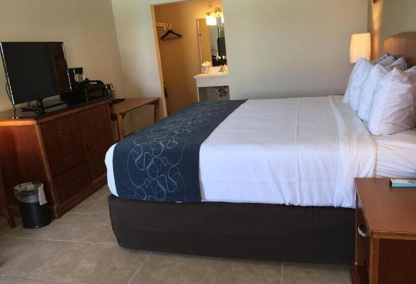 Номер Deluxe Кровать Кинг, Seasons Florida Resort