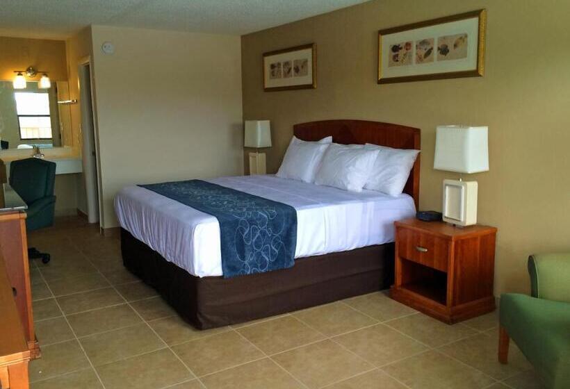 Номер Deluxe Кровать Кинг, Seasons Florida Resort