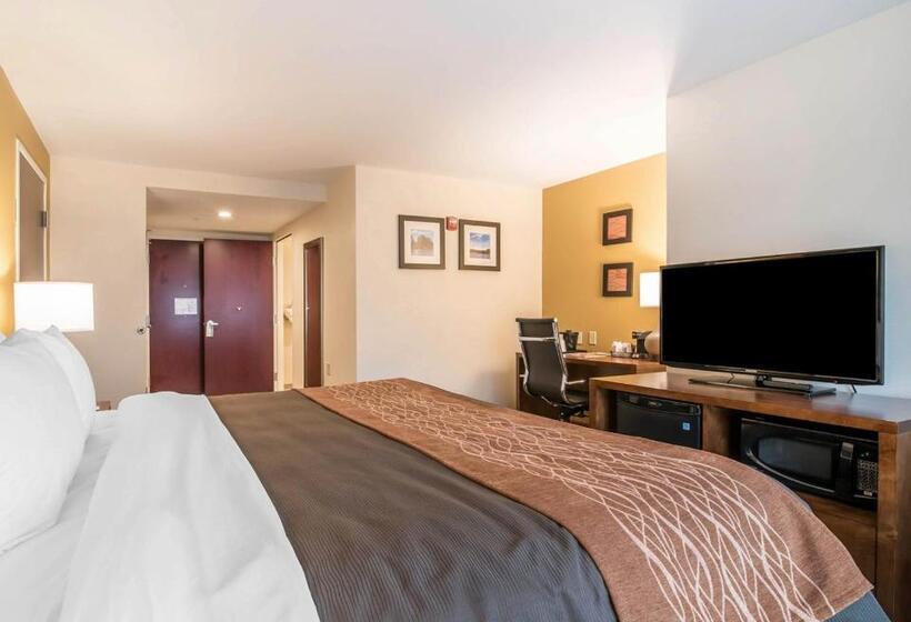 带大床的标准间, Comfort Inn & Suites Brattleboro I 91