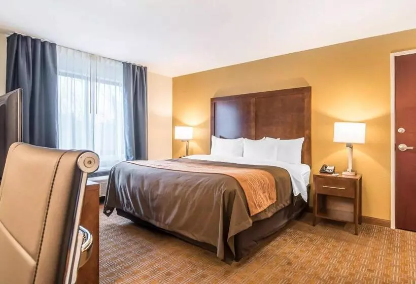 Standard-huone King-vuode, Comfort Inn & Suites Brattleboro I 91