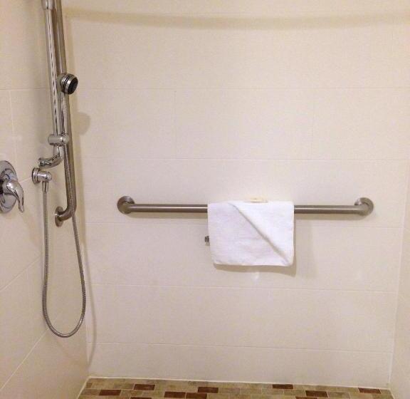 غرفة قياسية سرير كينج, Comfort Inn & Suites Brattleboro I 91