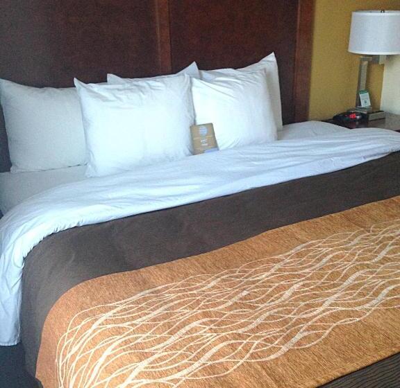 带大床的标准间, Comfort Inn & Suites Brattleboro I 91