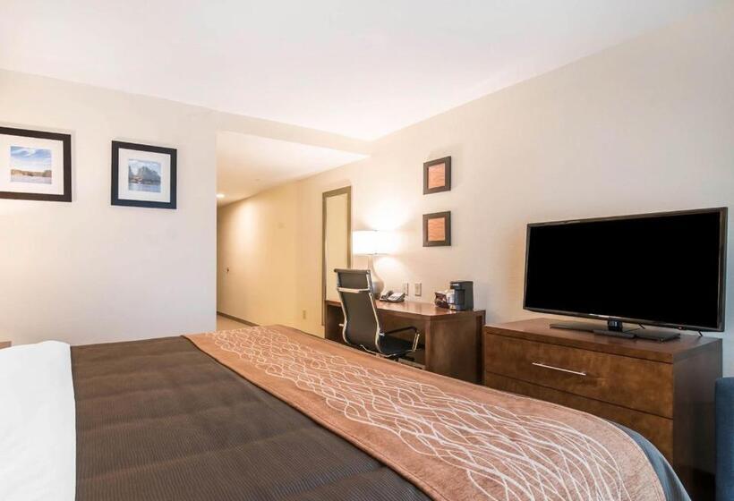 غرفة قياسية سرير كينج, Comfort Inn & Suites Brattleboro I 91