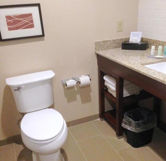 غرفة قياسية سرير كينج, Comfort Inn & Suites Brattleboro I 91