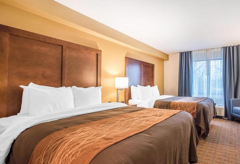 标准间, Comfort Inn & Suites Brattleboro I 91