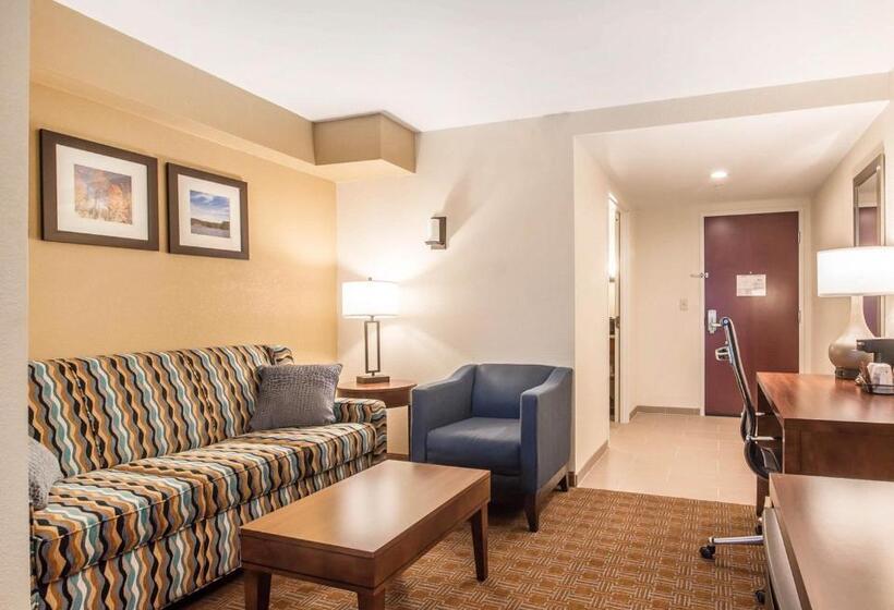 جناح سرير كينج, Comfort Inn & Suites Brattleboro I 91
