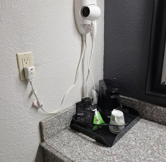 장애인을 위한 킹사이즈 침대 스탠다드 룸, Homestay Inn & Suites