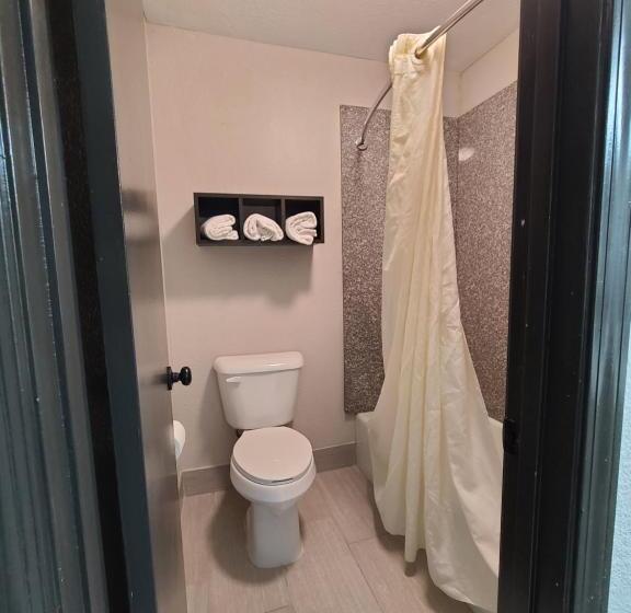 장애인을 위한 킹사이즈 침대 스탠다드 룸, Homestay Inn & Suites