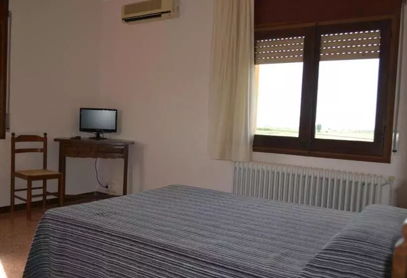 اتاق استاندارد, Hostal L´esplai