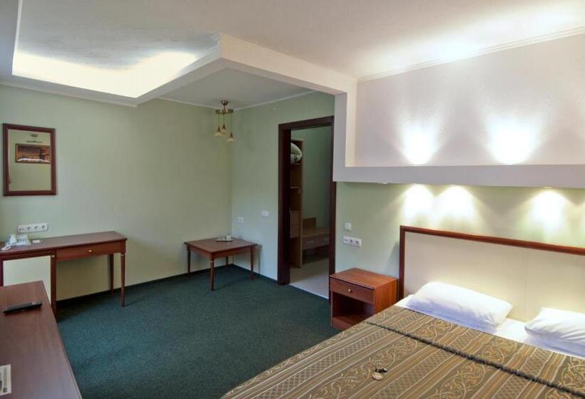 اتاق سوپریور, Optima Deluxe Kryvyi Rih