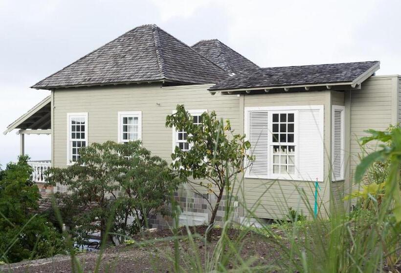 ویلای 3 خوابه با استخر, Belle Mont Sanctuary Resort Kittitian Hill