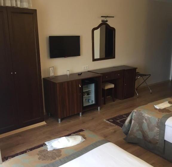 اتاق استاندارد سه نفره, Villa Sofia