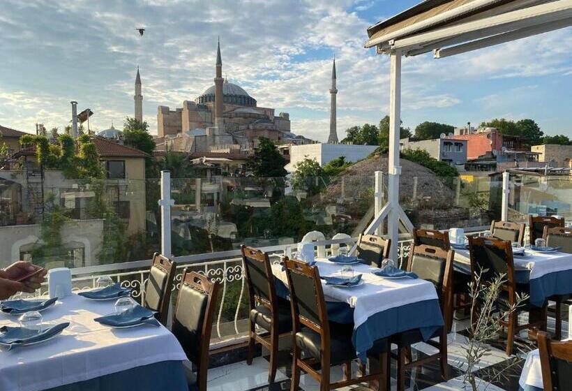 اتاق لوکس چهار تخته, Villa Sofia