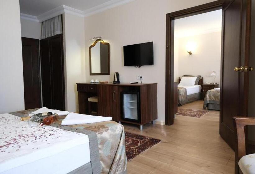 اتاق لوکس چهار تخته, Villa Sofia