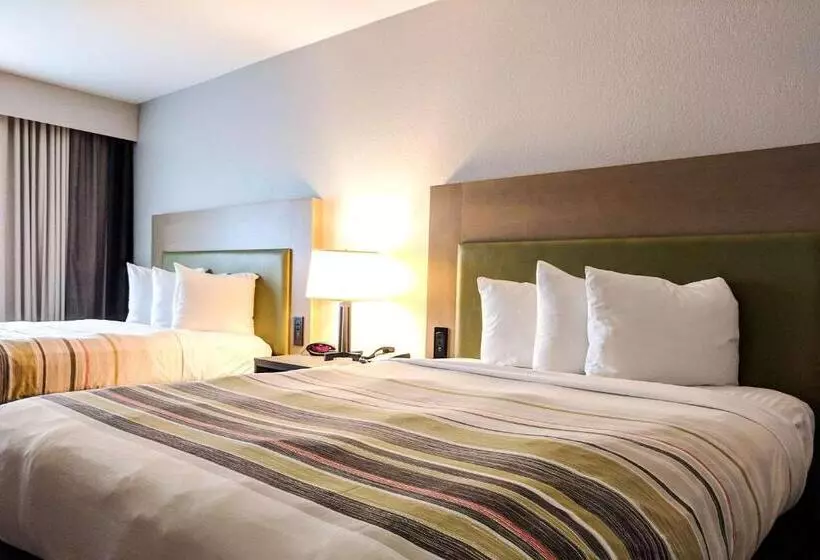 スイート, Comfort Inn & Suites