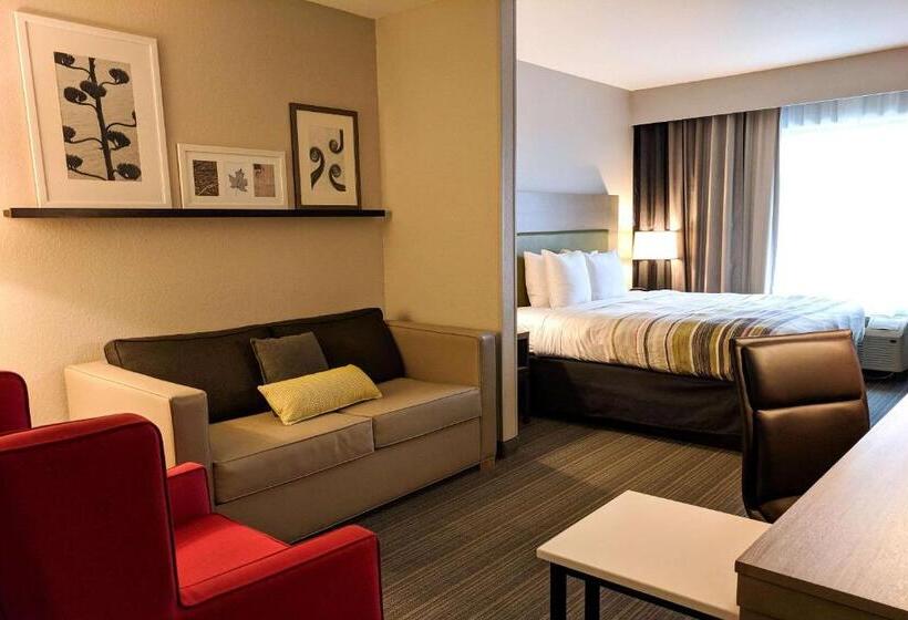 Люкс, Comfort Inn & Suites