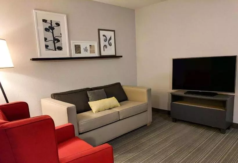 身障者適用スイートルーム, Comfort Inn & Suites