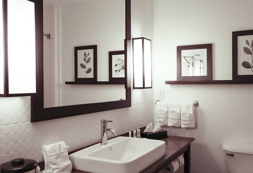Люкс, Comfort Inn & Suites