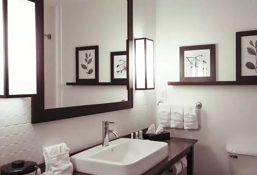 スイート, Comfort Inn & Suites