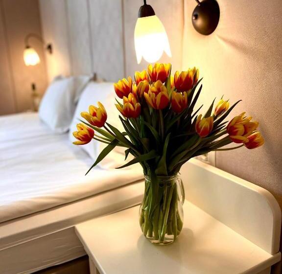 スタンダードルーム, Adria