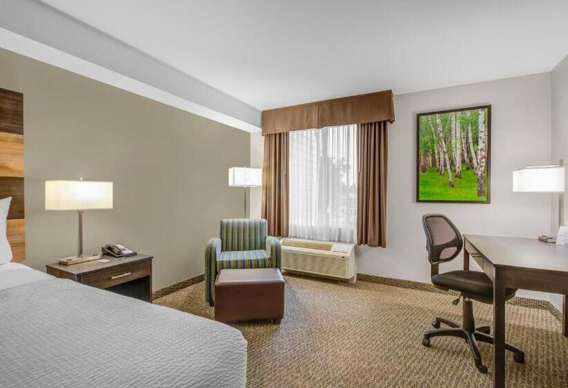 带大床的标准间, Days Inn & Suites By Wyndham Lindsay