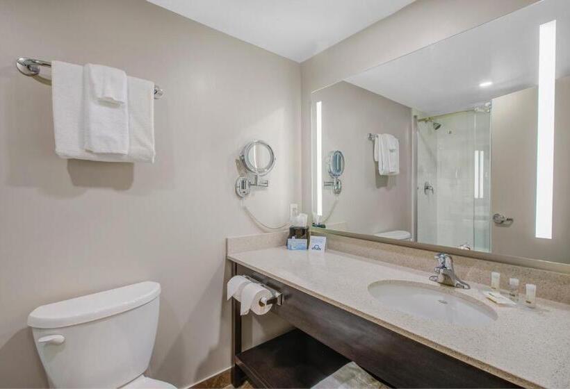 غرفة قياسية سرير كينج, Days Inn & Suites By Wyndham Lindsay