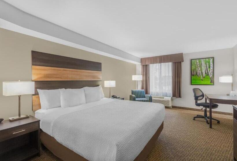 غرفة قياسية سرير كينج, Days Inn & Suites By Wyndham Lindsay