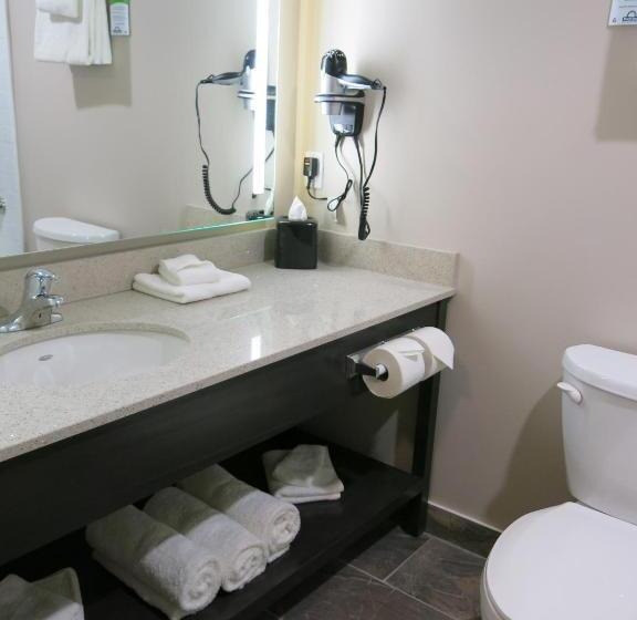 غرفة قياسية, Days Inn & Suites By Wyndham Lindsay