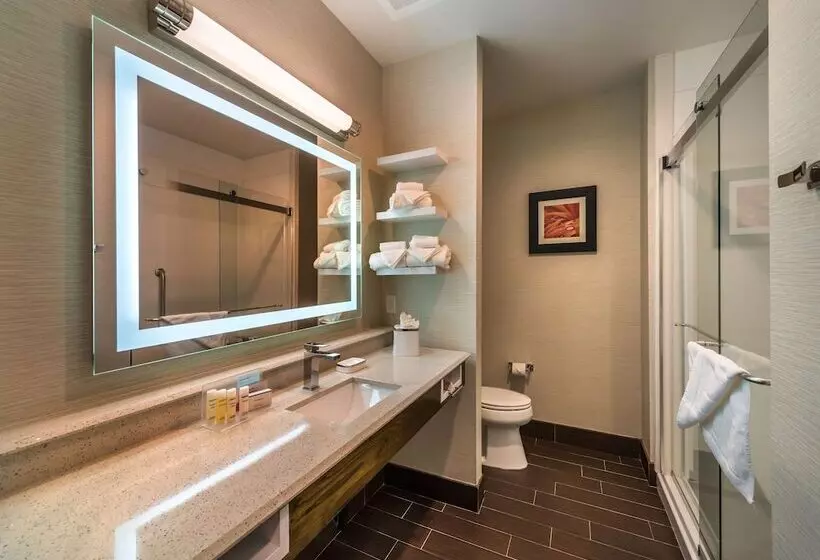 Standard-huone King-vuode, Hampton Inn & Suites Reno West