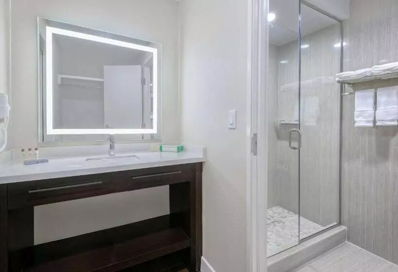 障害者適応デラックスルーム, Hawthorn Extended Stay By Wyndham Mcallen