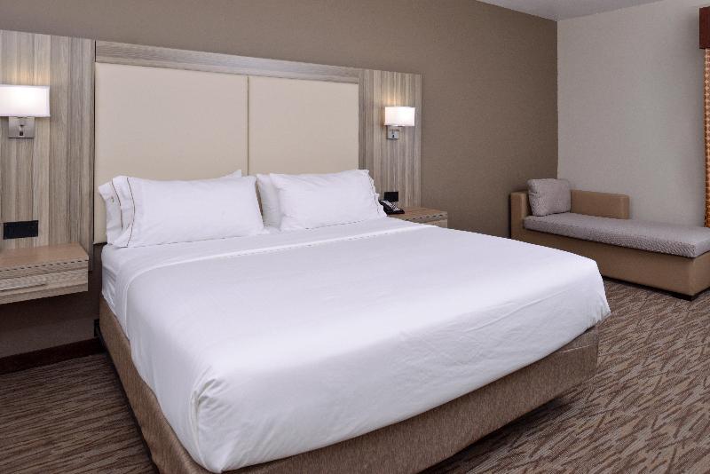 장애인을 위한 스위트, Holiday Inn Express & Suites Williams, An Ihg