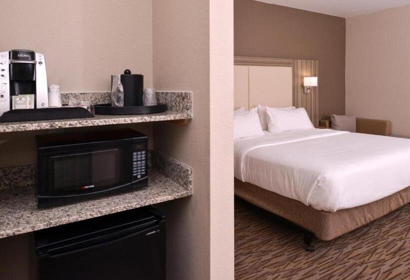 스탠다드 룸 킹사이즈 침대, Holiday Inn Express & Suites Williams, An Ihg