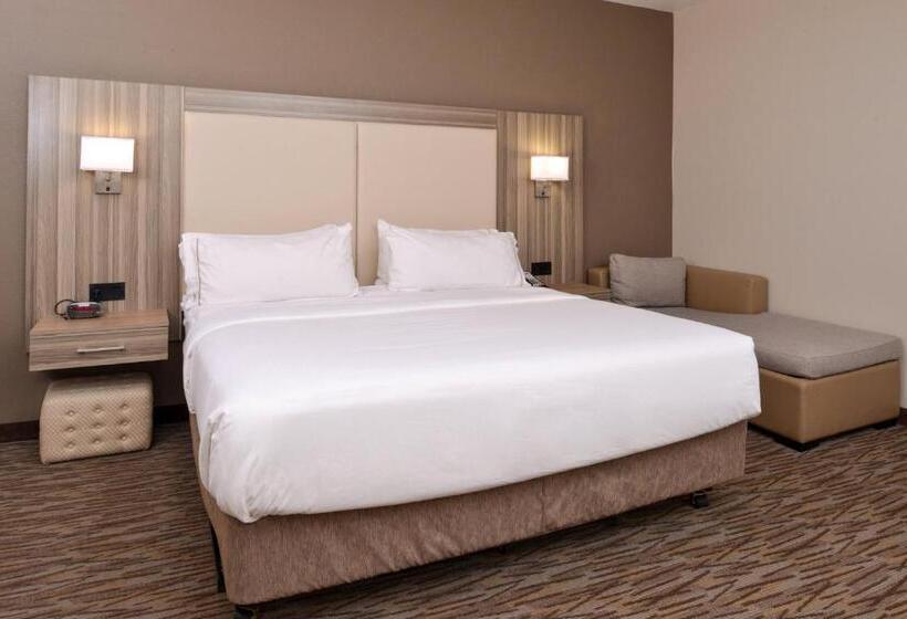 장애인을 위한 킹사이즈 침대 스탠다드 룸, Holiday Inn Express & Suites Williams, An Ihg