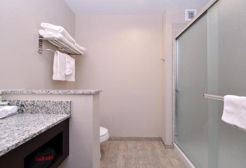 스탠다드 룸 킹사이즈 침대, Holiday Inn Express & Suites Williams, An Ihg
